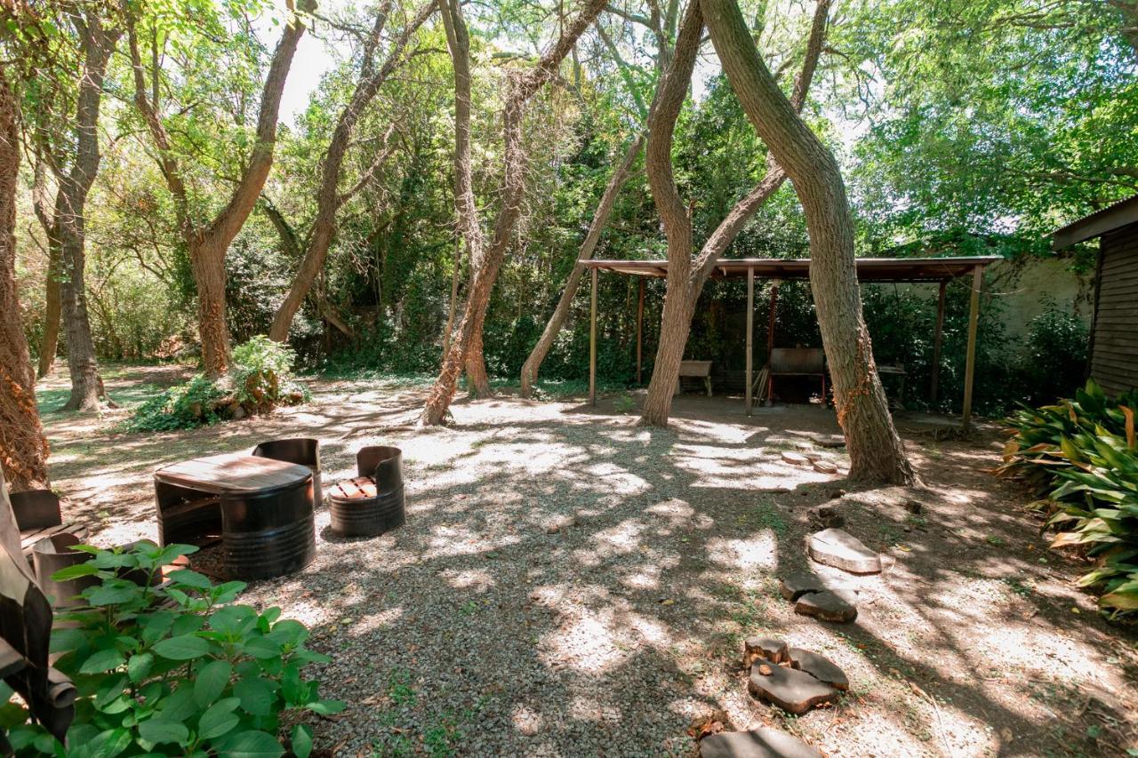 Holiday home - El Bamboo Eventos *