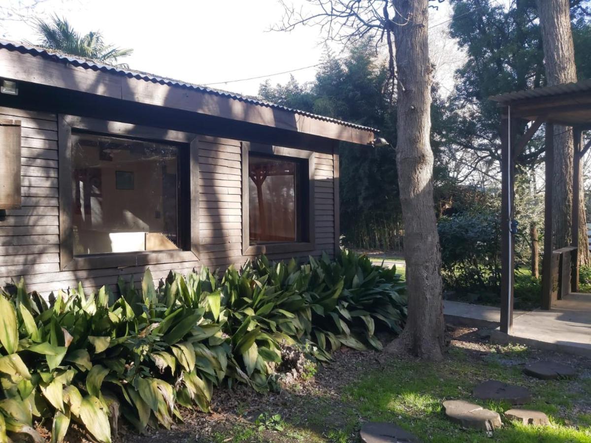 Holiday home - El Bamboo Eventos Arturo Segui