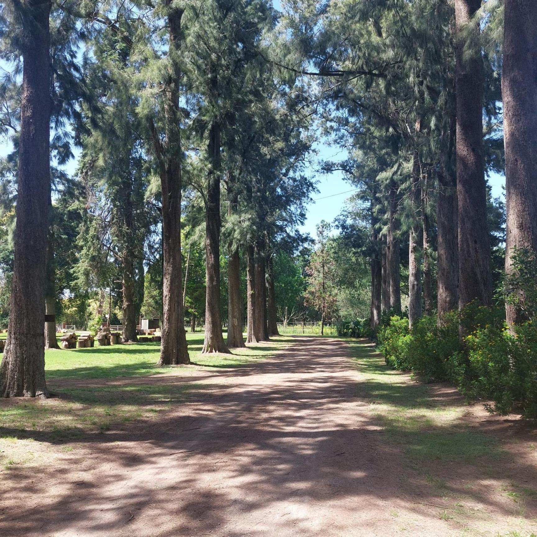 Holiday home - El Bamboo Eventos